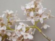 画像4: アンティーク ライラックの布花 パウダーピンク (4)