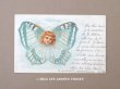 画像1: 1902年 アンティークポストカード 水色の蝶々の少女 (1)