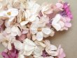 画像4: アンティーク ライラックの布花 ホワイト＆ピンク (4)