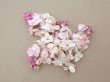 画像2: アンティーク ライラックの布花 ホワイト＆ピンク (2)