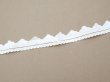 画像8: アンティーク スカラップレース ドット刺繍入り  (8)