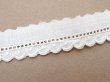 画像4: アンティーク スカラップレース ドット刺繍入り  (4)