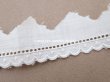 画像7: アンティーク スカラップレース ドット刺繍入り  (7)
