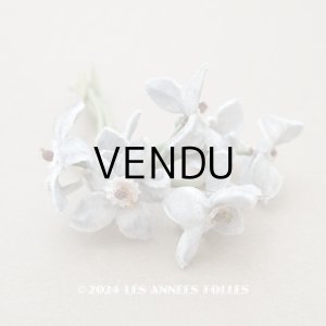画像: アンティーク ベルベットの布花　