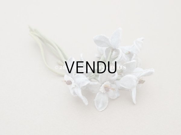 画像2: アンティーク ベルベットの布花　 (2)
