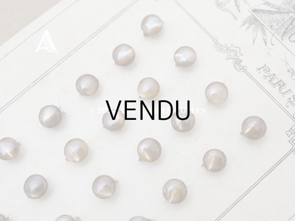 画像4: アンティーク マザーオブパール製 極小 ボタン 5mm 24ピース シェルボタン ブラウン (4)