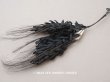 画像1: 19世紀末 アンティーク ボンマルシェ 帽子用 コサージュ 麦 黒 デッドストック ラベル付 (1)