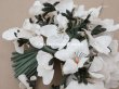 画像5: アンティーク 白菫の布花 33輪 (5)