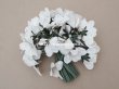 画像2: アンティーク 白菫の布花 33輪 (2)