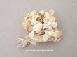画像1: アンティーク シルクベルベット製 布花 アイボリー (1)