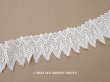 画像1: 19世紀末 アンティーク 刺繍入り コットンオーガンジーのカットワークレース 幅7.5cm (1)