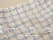 画像1: アンティーク コットンメッシュ ファブリック ブルー＆オフホワイト 56cｍ幅 (1)