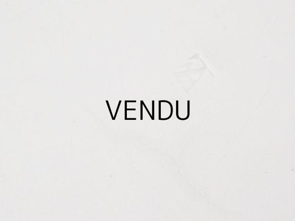 画像10: 1820~1855年 アンティーク オクトゴナル プレート Fouque & Arnoux フーク&アルノー窯  (10)