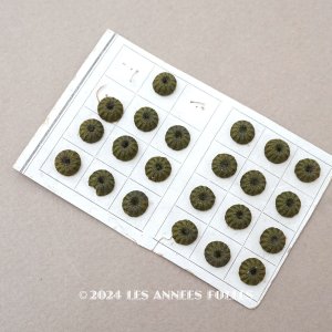 画像: 19世紀 アンティーク ドール用 極小 8mm シルク製 くるみボタン 6ピースのセット モスグリーン