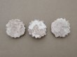 画像4: ＊蚤の市セット＊ アンティーク 石膏の花のオーナメント 3点セット (4)