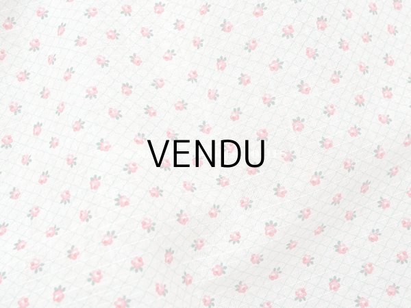 画像2: 未使用 アンティーク 小さな薔薇模様 薄手のコットンファブリック 70cm幅 淡いグリーンの格子柄 (2)