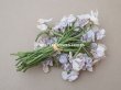 画像3: 1900年頃 アンティーク 菫の布花 パルマスミレの大きなブーケ 36輪 (3)