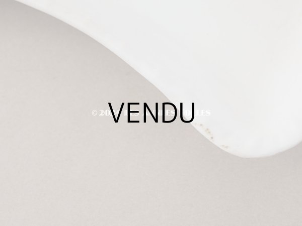 画像18: 1900年頃 アンティーク 王冠紋章入り プレート - BOOTHS ENGLAND - (18)