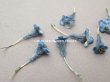 画像3: アンティーク 勿忘草 ベルベットの布花  ブルー 9ピースのセット 8mm&12mm (3)