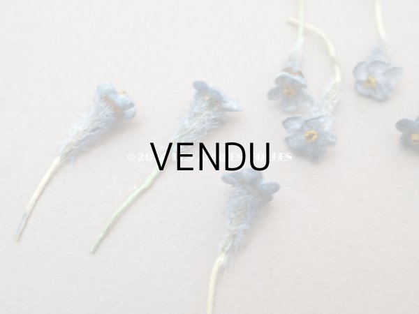 画像4: アンティーク 勿忘草 ベルベットの布花  ブルー 10ピースのセット 8mm (4)