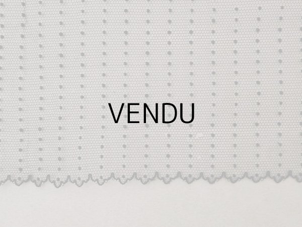 画像10: アンティーク ドット入り 幅広 チュールレース 黒 0.9m 幅29.5cm (10)