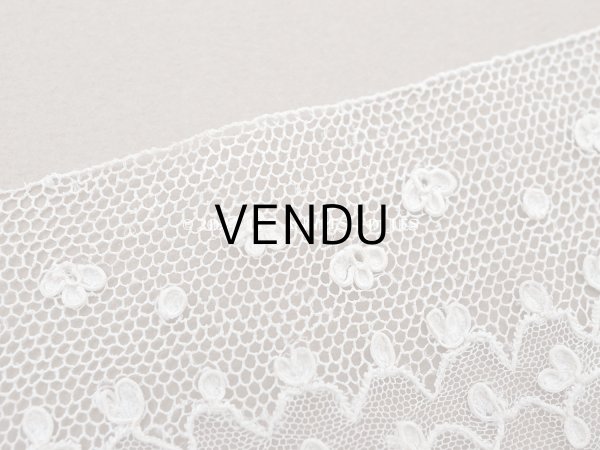 画像3: 19世紀 アンティーク ニードルレース アランソンレース 1.07m 4.4cm幅『ポワン・ダランソン（アランソン）』  (3)