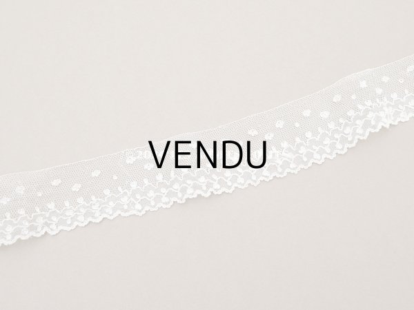 画像8: 19世紀 アンティーク ニードルレース アランソンレース 1.07m 4.4cm幅『ポワン・ダランソン（アランソン）』  (8)