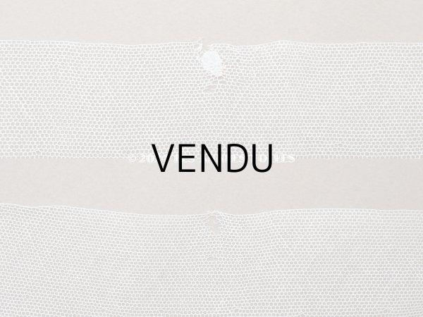 画像5: アンティーク スカラップ チュールレース ライン入り オフホワイト 7cm幅  (5)