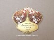 画像1: アンティーク ソープラベル SAVON JASMINIA - LUBIN PARIS - (1)