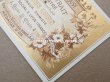 画像2: アンティーク パフュームラベル TRIPLE EXTRAIT CONCENTRE - CLAUDIUS LUBIN - (2)