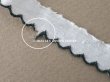 画像9: アンティーク スカラップトリム 刺繍入り ホワイト&ブラック 1.3cm幅  (9)