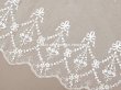 画像2: アンティーク 花の刺繍入り 幅広レース 32.5×幅28〜30cm (2)