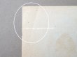 画像4: アンティーク ソープラベル SAVON FRIMOUSSE D'OR - LORENZY-PALANCA - (4)