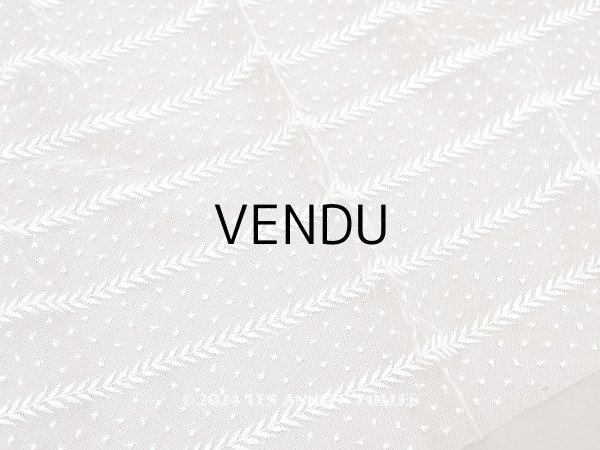 画像1: 【クリスマスセール2024対象外】アンティーク ドット刺繍入り チュールレース  生成り 43×100cm (1)