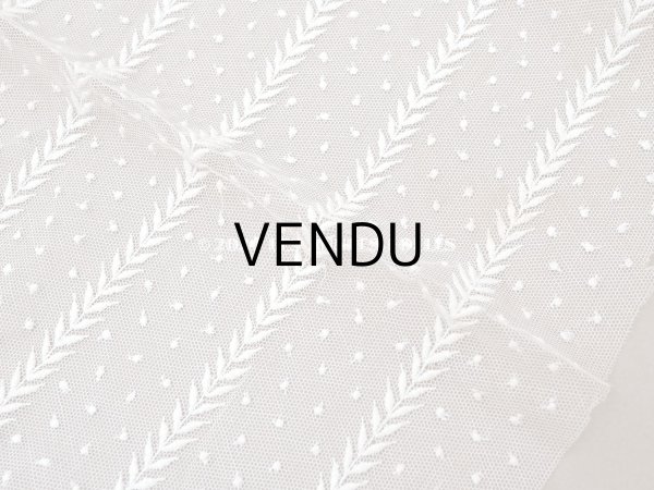 画像2: 【クリスマスセール2024対象外】アンティーク ドット刺繍入り チュールレース  生成り 43×100cm (2)