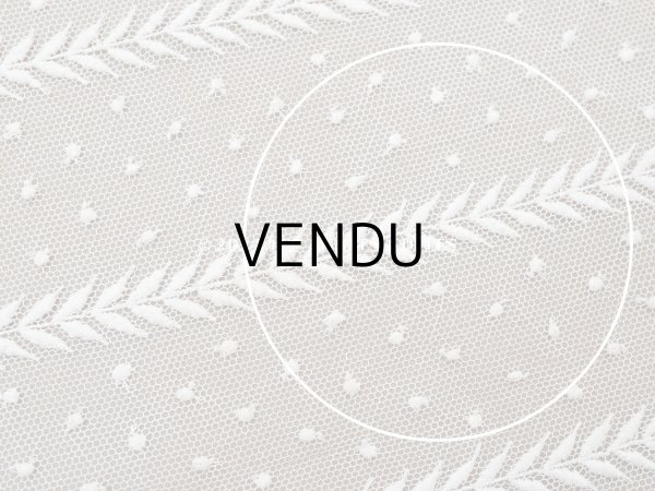 画像7: 【クリスマスセール2024対象外】アンティーク ドット刺繍入り チュールレース  生成り 43×100cm (7)