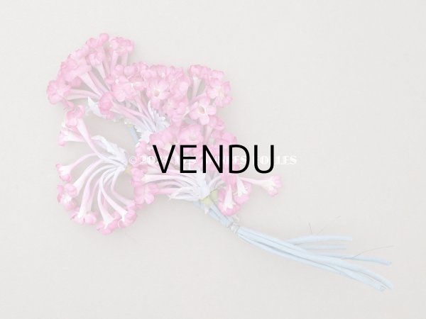 画像3: 【クリスマスセール2024対象外】アンティーク ピンクの大きな布花 花魁草 ラベル付き (3)