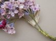 画像5: アンティーク ライラックの大きな布花 ベルベット 薄紫 ラベル付き (5)
