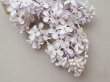 画像7: アンティーク ライラックの大きな布花 ホワイトパープル ラベル付き (7)