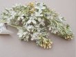 画像5: アンティーク ライラックの大きな布花 ミルキーグリーン ラベル付き (5)