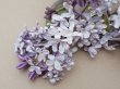 画像5: アンティーク ライラックの大きな布花 アイスパープル＆アイスブルー ラベル付き (5)