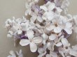 画像6: アンティーク ライラックの大きな布花 ホワイトパープル ラベル付き (6)
