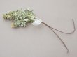 画像8: アンティーク ライラックの大きな布花 ミルキーグリーン ラベル付き (8)