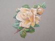画像5: 1900年頃 アンティーク 薔薇 ダイカットクロモ 15点のセット (5)