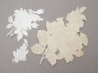 画像6: 1900年頃 アンティーク 薔薇 ダイカットクロモ 15点のセット (6)