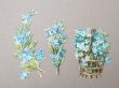 画像2: 1900年頃 アンティーク 勿忘草 ダイカットクロモ 9点のセット (2)