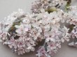 画像4: アンティーク ライラックの大きな布花 ホワイト＆ピンク＆グレイラベル付き (4)