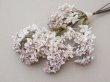 画像3: アンティーク ライラックの大きな布花 ホワイト＆ピンク＆グレイラベル付き (3)
