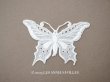 画像1: アンティーク 蝶々のモチーフ  (1)