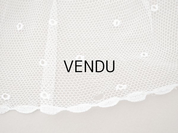 画像6: アンティーク 幅広 フリルレース オフホワイト ドット刺繍入り チュールレース 2.5m 幅11.5cm  (6)
